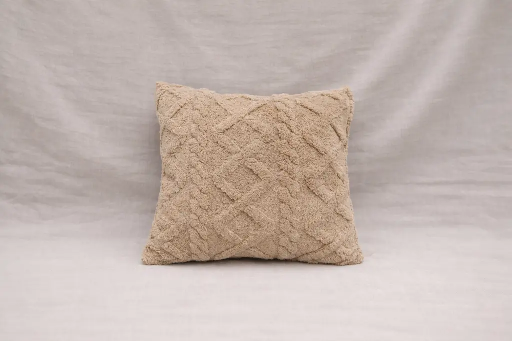 cushion beige.webp