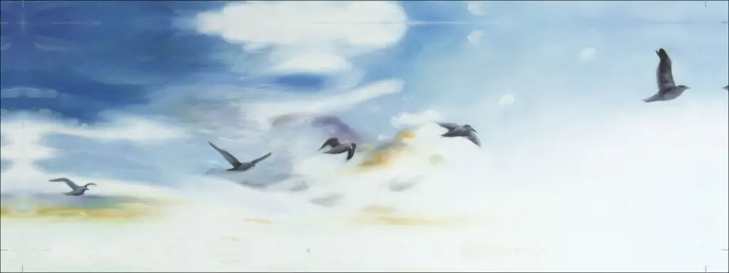 1002-1648-CO141-1 (1).webp